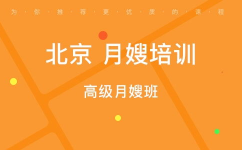 北京月嫂公司排行榜