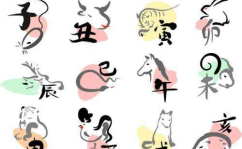暗无天日是什么生肖,探寻成语背后的生肖奥秘