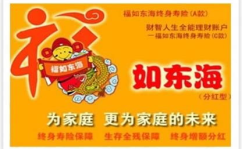 新华人寿保险红双喜,全方位保障与投资双赢的保险产品