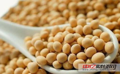 黑龙江大豆最新价格,最新行情解析